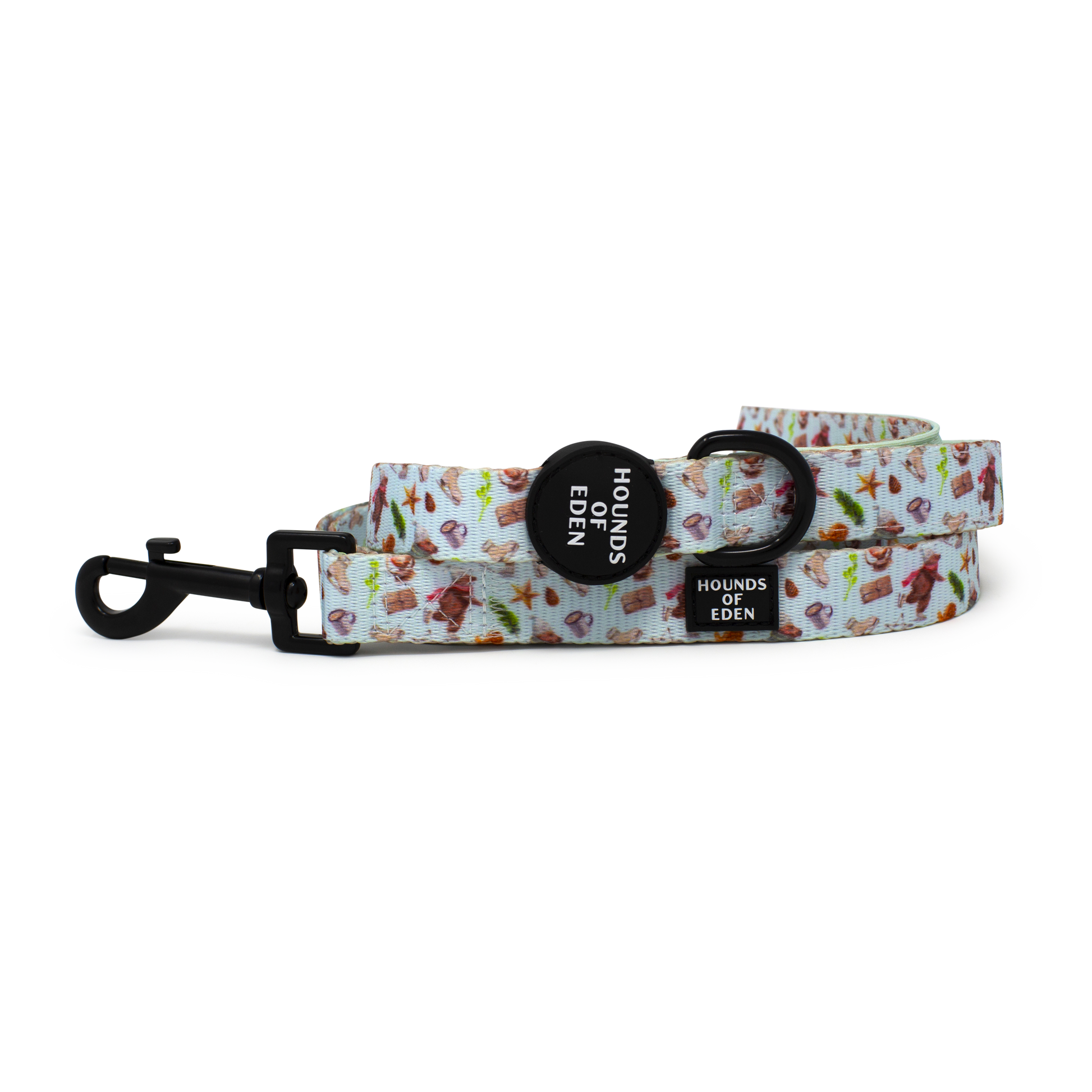 Teddy it's Cold Outside Dog Collar - The Bark Market