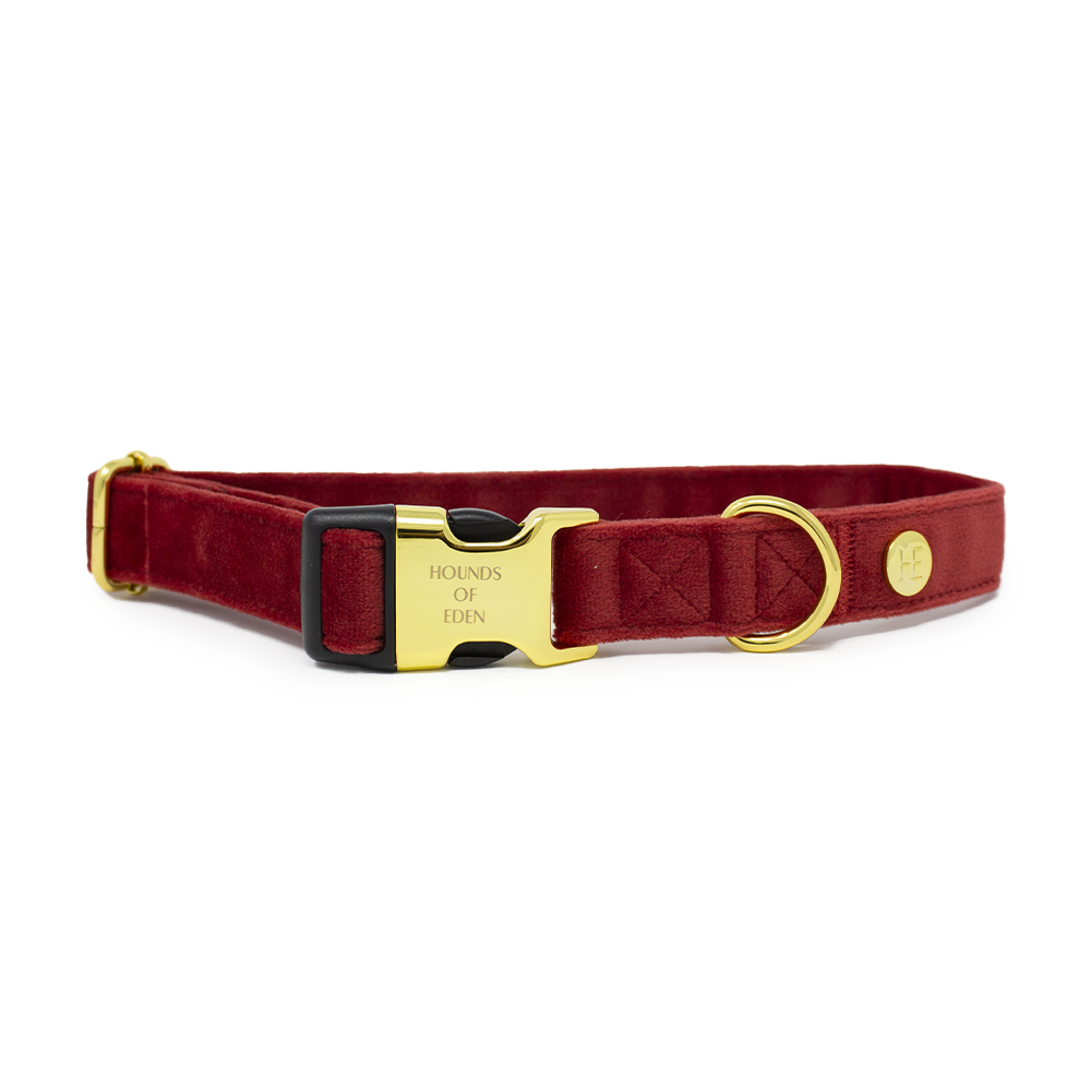 Ruby Red Velvet Harness - The Bark Market