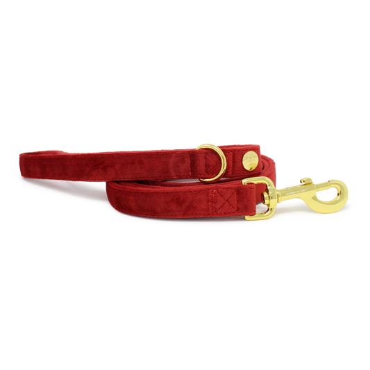 Ruby Red Velvet Lead - The Bark Market