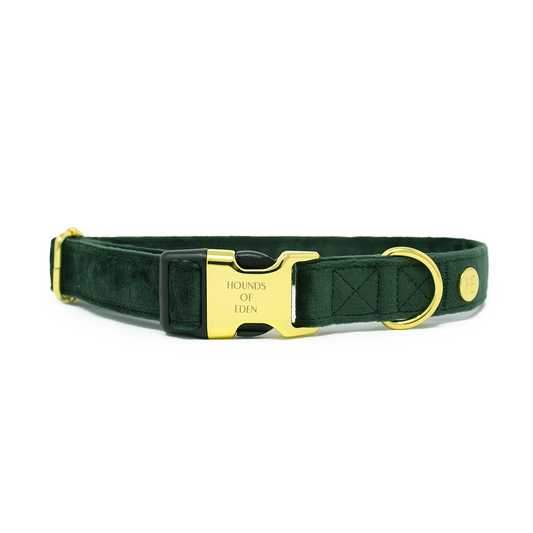 Olive Green Velvet Collar - The Bark Market