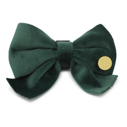 Olive Green Velvet Harness - The Bark Market