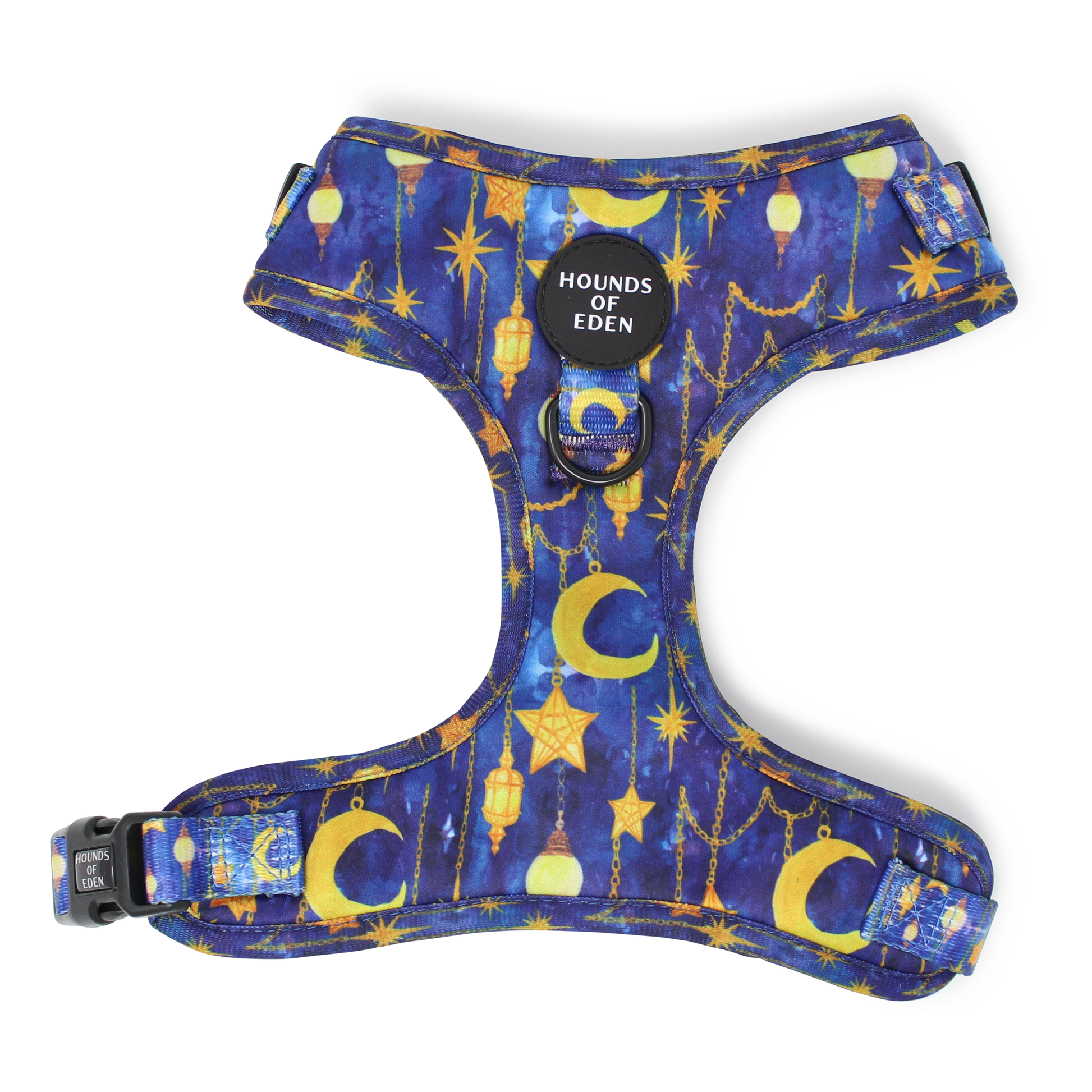 Arabian Nights - Blue and Gold Dog Harness - The Bark Market