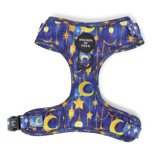 Arabian Nights - Blue and Gold Dog Harness - The Bark Market