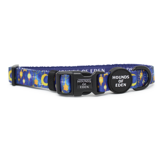 Arabian Nights - Blue and Gold Dog Collar - The Bark Market