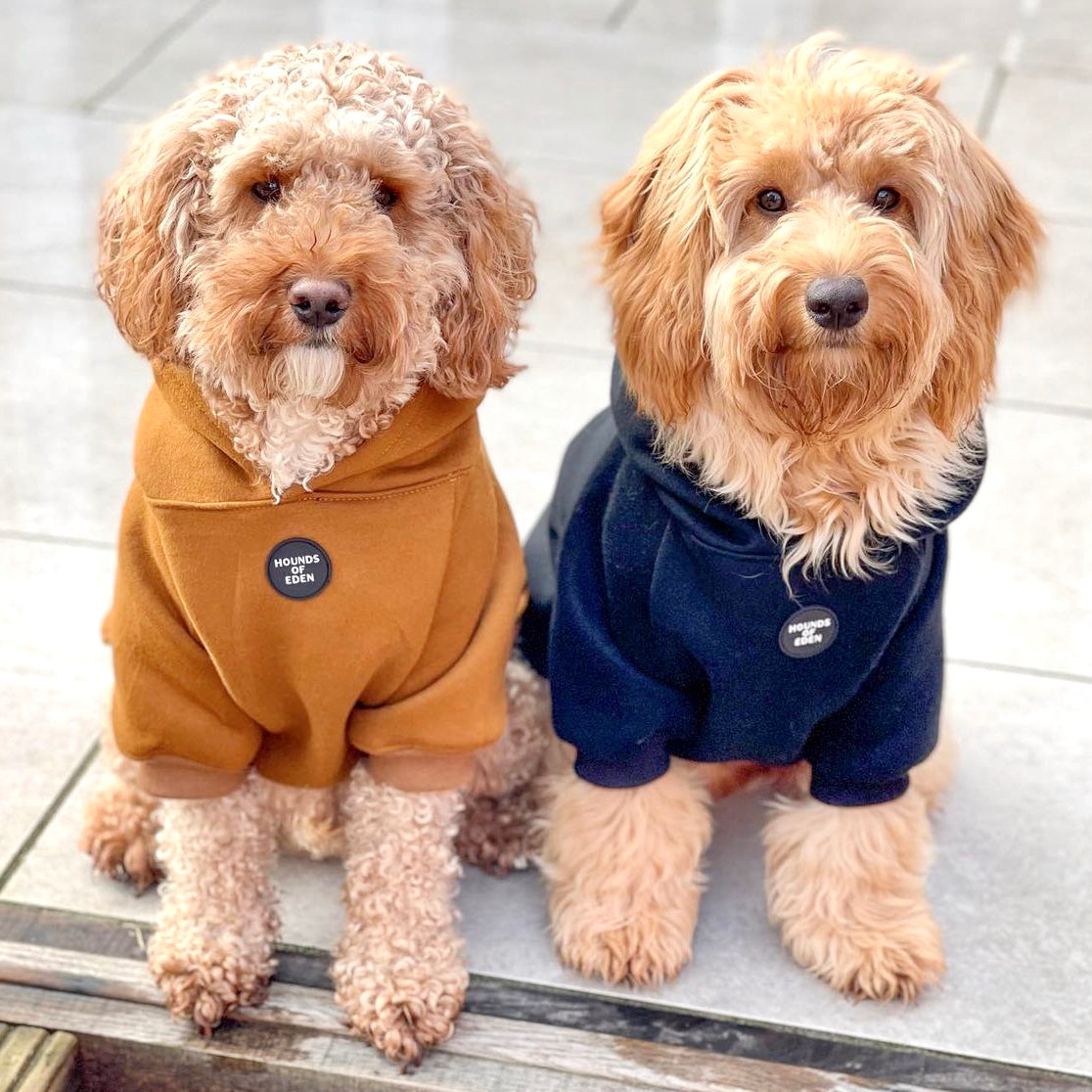 Dog Hoodie - Grey - The Bark Market