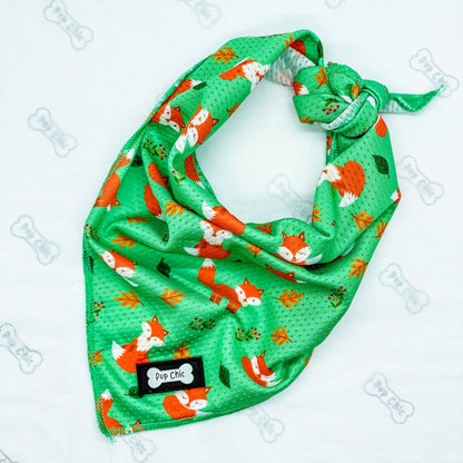 Inquisitive Fox Cooling Bandana - The Bark Market