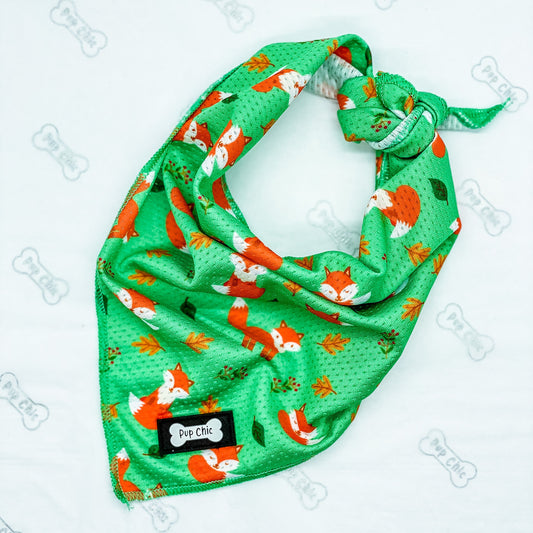 Inquisitive Fox Cooling Bandana - The Bark Market