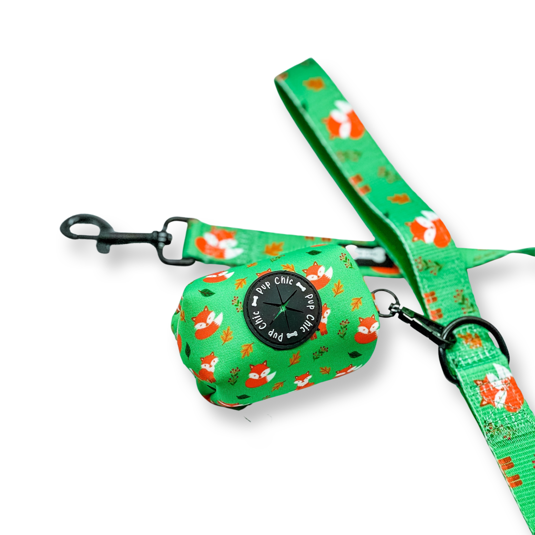 Inquisitive Fox 5ft Dog Lead - The Bark Market