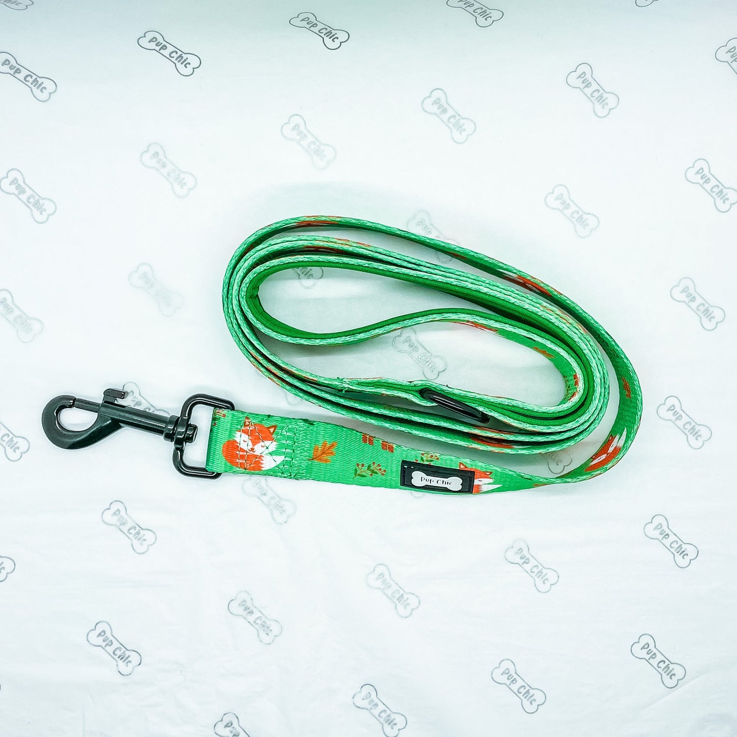 Inquisitive Fox 5ft Dog Lead - The Bark Market