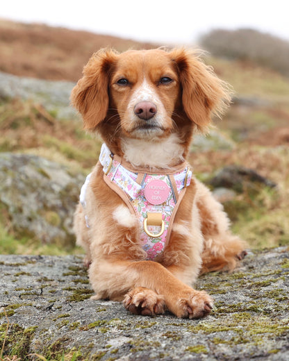 Pastel Petals - Supaw Strong™ Dog Harness (XS-XL) - The Bark Market
