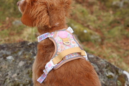 Pastel Petals - Dog Collar + ID Tag Holder - The Bark Market