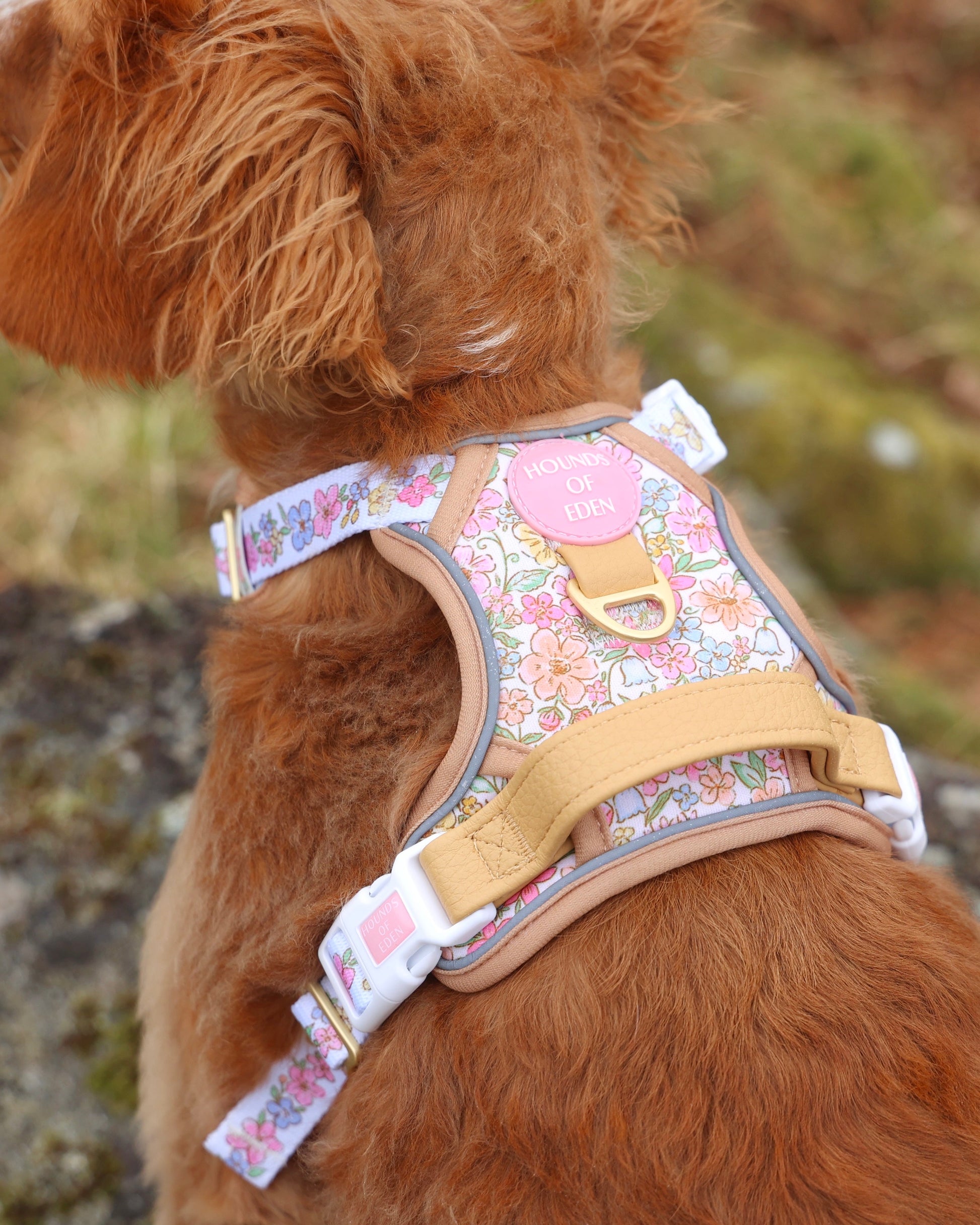 Pastel Petals - Supaw Strong™ Dog Harness (XS-XL) - The Bark Market