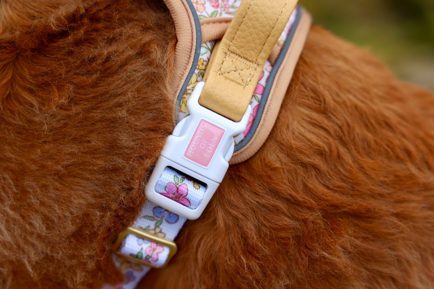 Pastel Petals - Supaw Strong™ Dog Harness (XS-XL) - The Bark Market