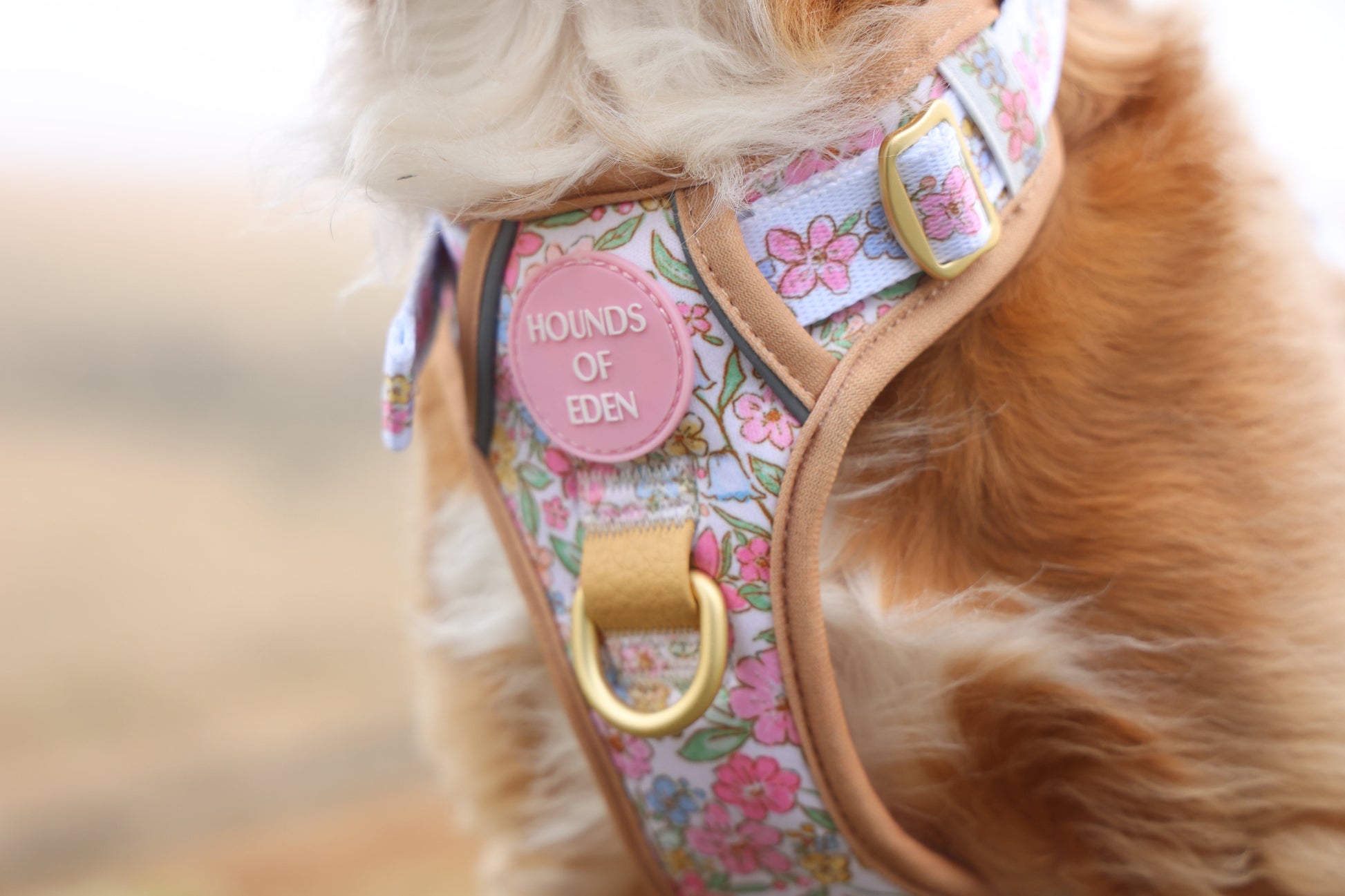 Pastel Petals - Leather Dog Lead - The Bark Market