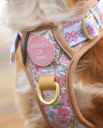 Pastel Petals - Supaw Strong™ Dog Harness (XS-XL) - The Bark Market