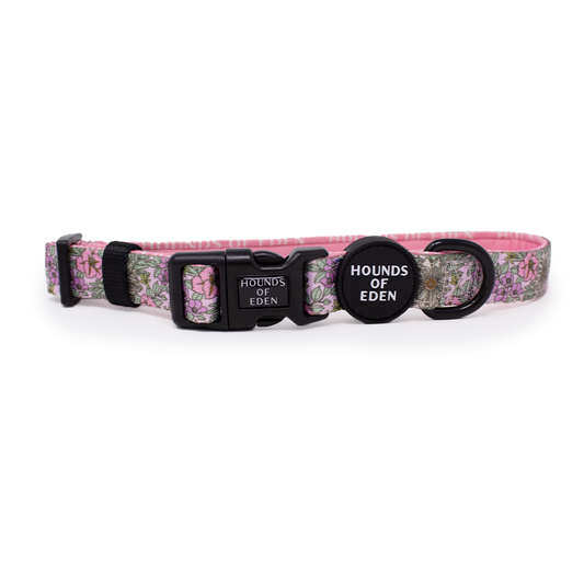 Wild Blossom - Design Dog Collar - The Bark Market