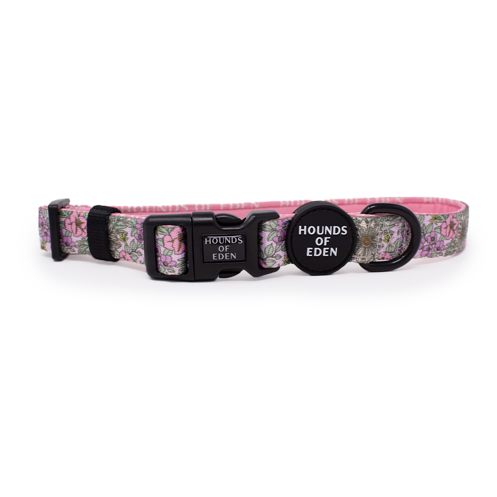Wild Blossom- Design Dog Harness - The Bark Market
