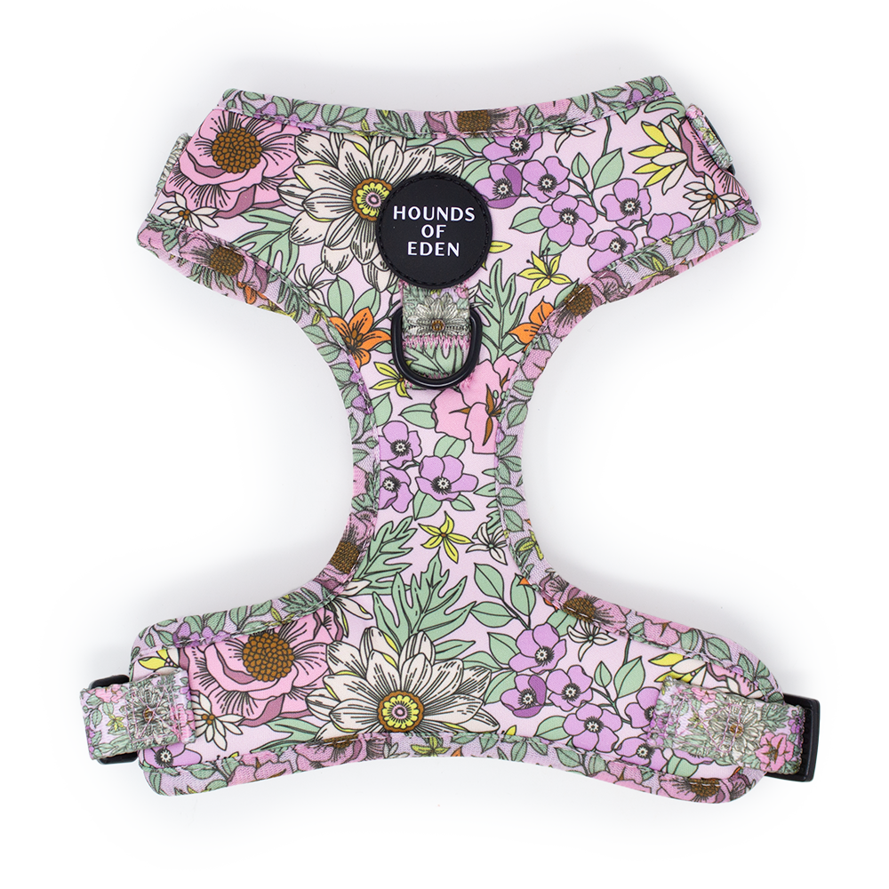 Wild Blossom- Design Dog Harness - The Bark Market