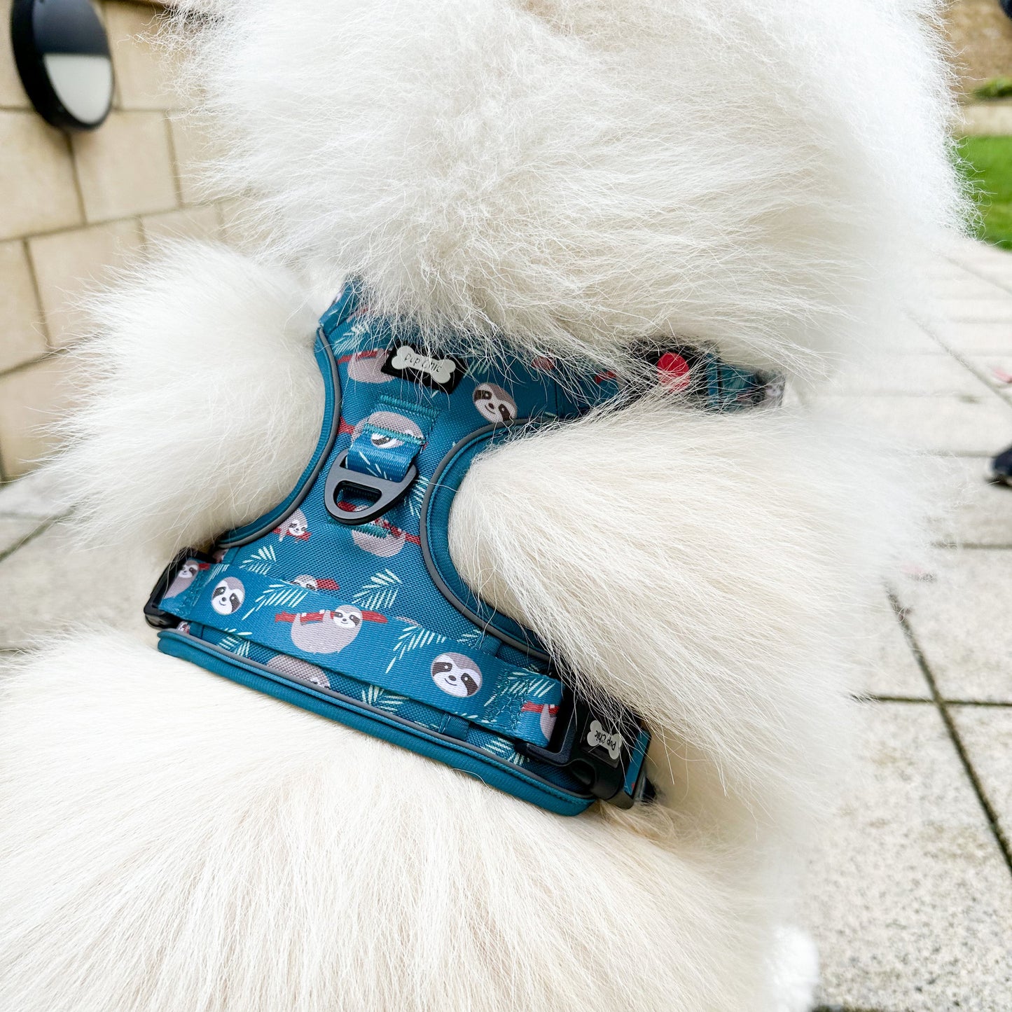 Lazy Sloth No Pull Tactical Dog Harness – Blue Teal Sloth Print, Adjustable, Step-In (Small-XL) 🦥 - The Bark Market