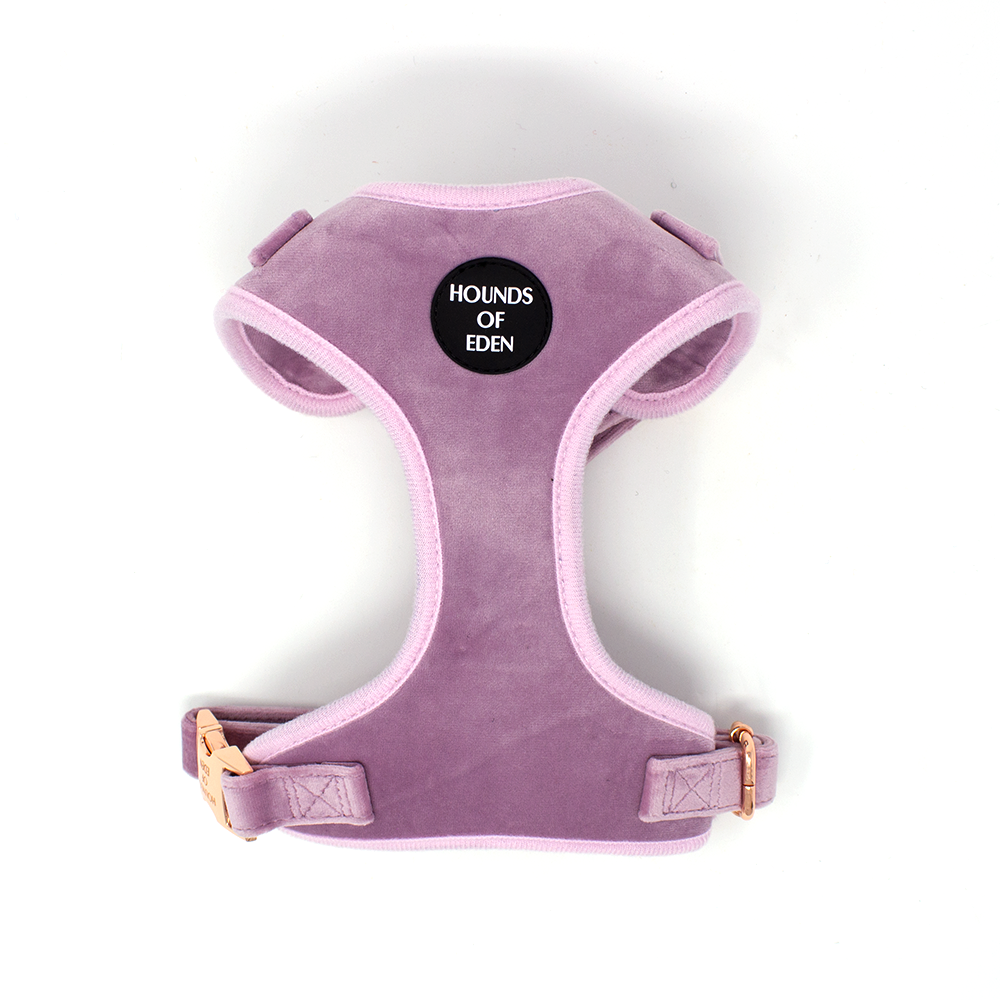 Lilac Dreams - Lilac Velvet Dog Harness with Rose Gold Metal Hardware - The Bark Market