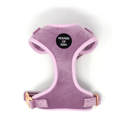 Lilac Dreams - Lilac Velvet Dog Harness with Rose Gold Metal Hardware - The Bark Market