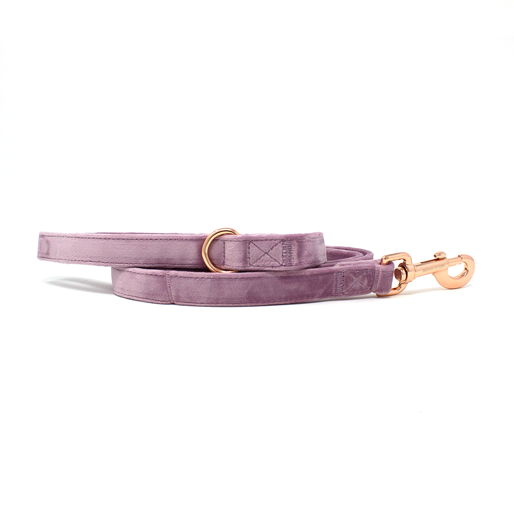 Lilac Dreams - Lilac Velvet Dog Harness with Rose Gold Metal Hardware - The Bark Market