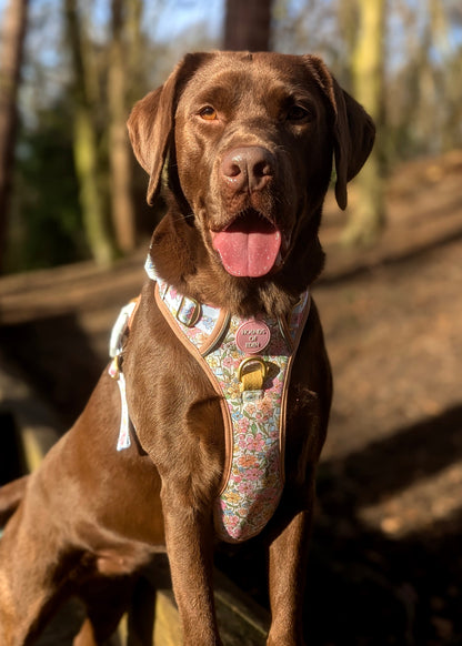 Pastel Petals - Supaw Strong™ Dog Harness (XS-XL) - The Bark Market