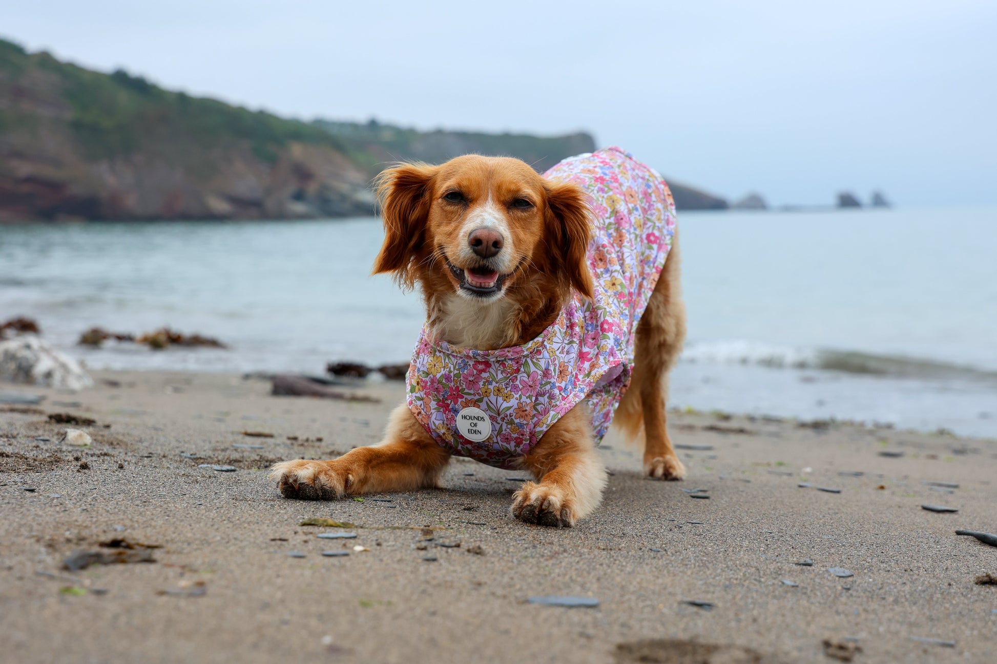 Pastal Petals Dog Cooling Vest - The Bark Market