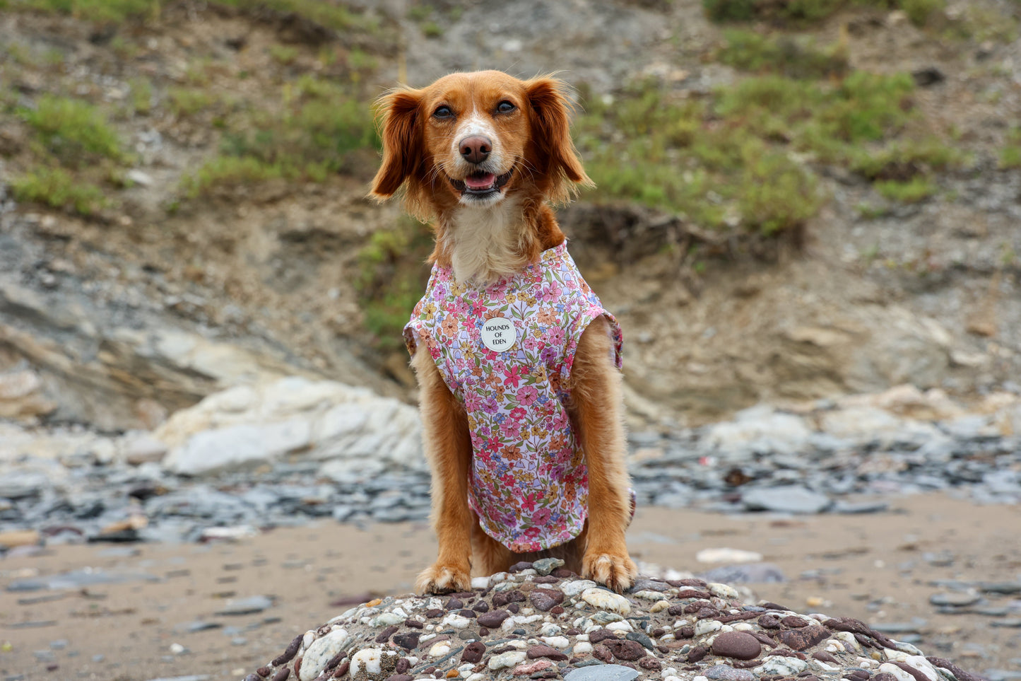 Pastal Petals Dog Cooling Vest - The Bark Market