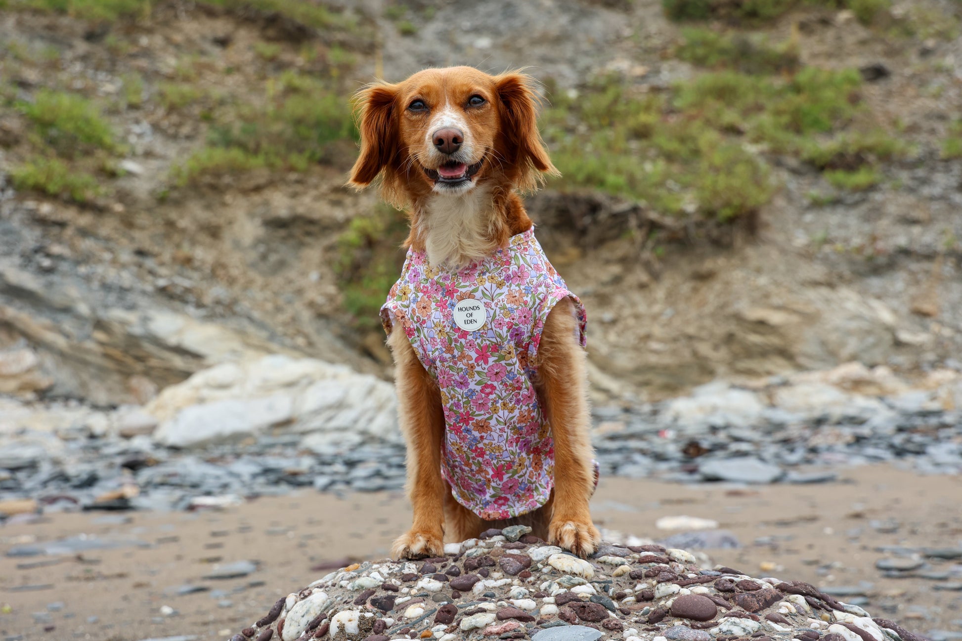 Pastal Petals Dog Cooling Vest - The Bark Market