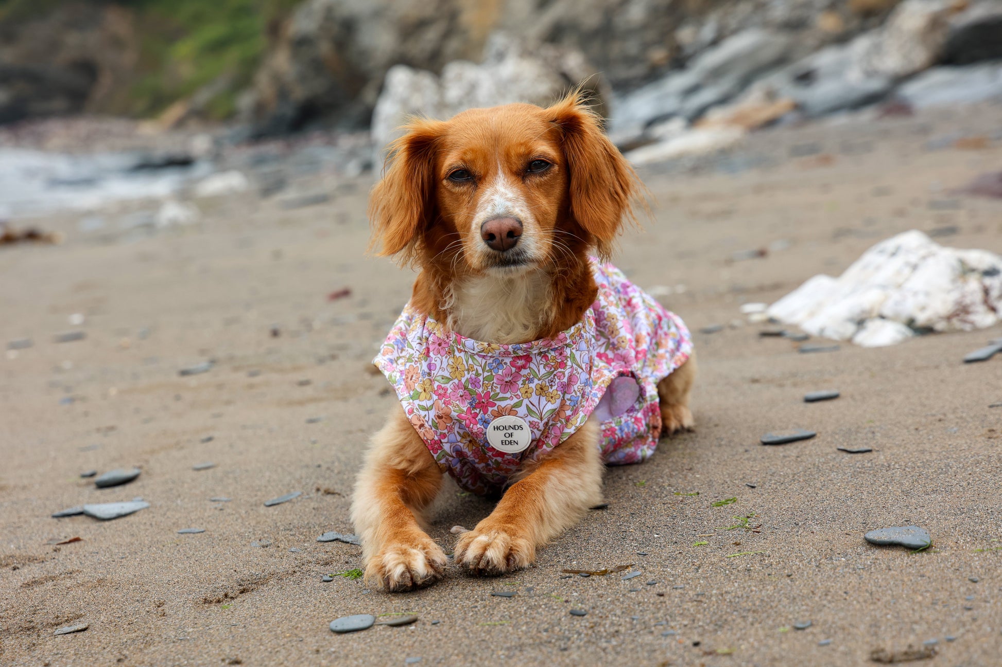 Pastal Petals Dog Cooling Vest - The Bark Market