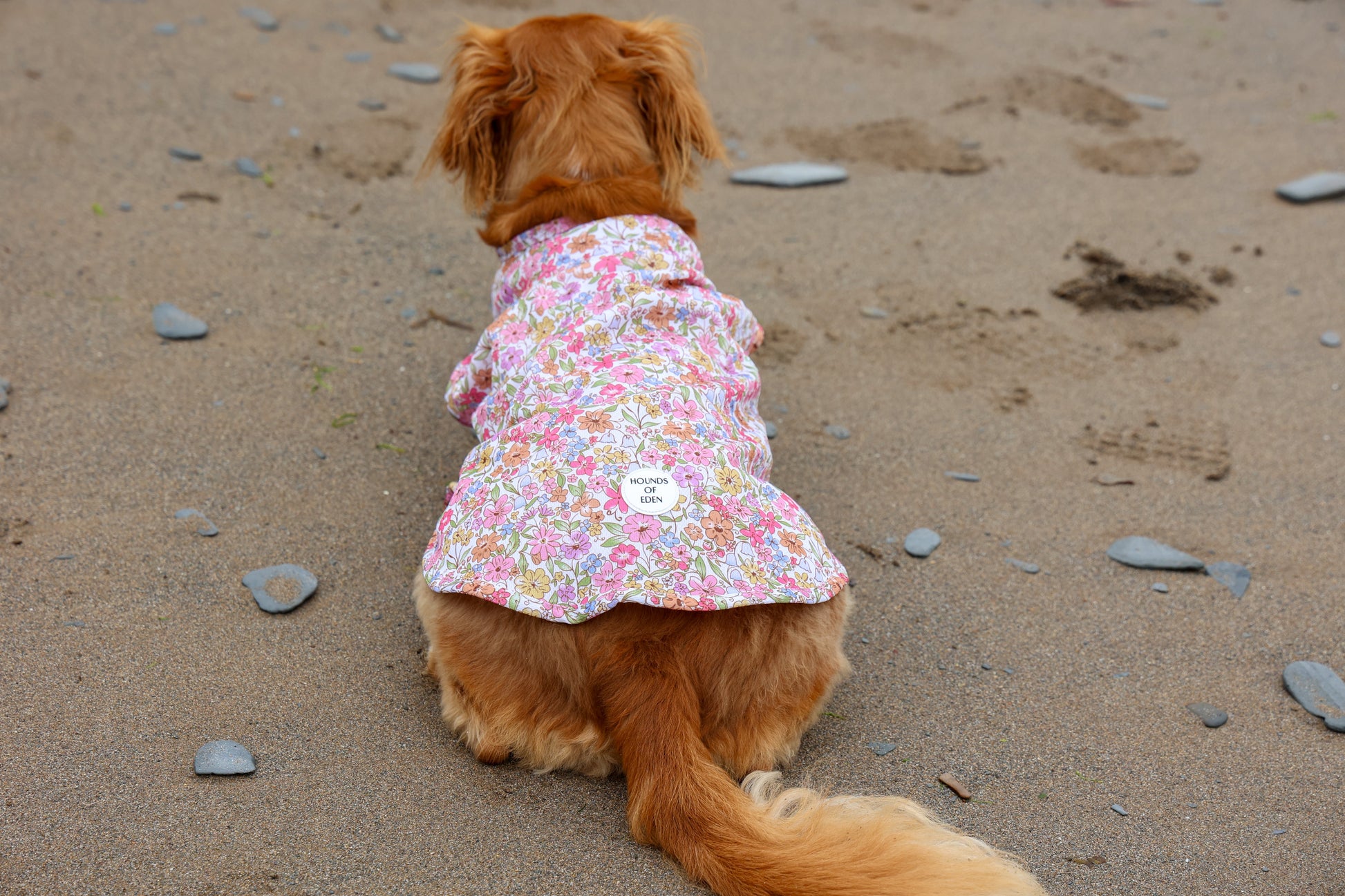 Pastal Petals Dog Cooling Vest - The Bark Market