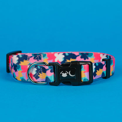 The Luna Dog Collar - The Bark Market