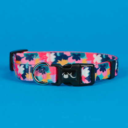 The Luna Dog Collar - The Bark Market