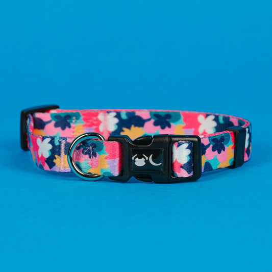 The Luna Dog Collar - The Bark Market