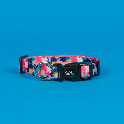The Luna Dog Collar - The Bark Market