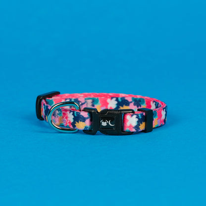 The Luna Dog Collar - The Bark Market