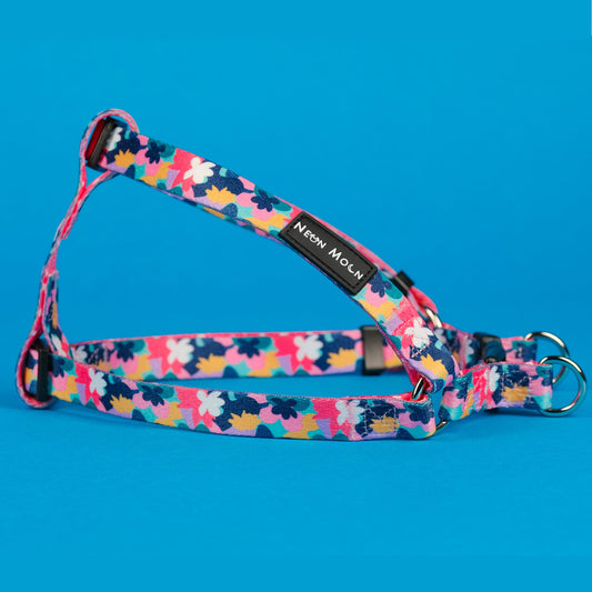 The Luna Step-In Harness - The Bark Market