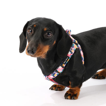 The Luna Step-In Harness - The Bark Market