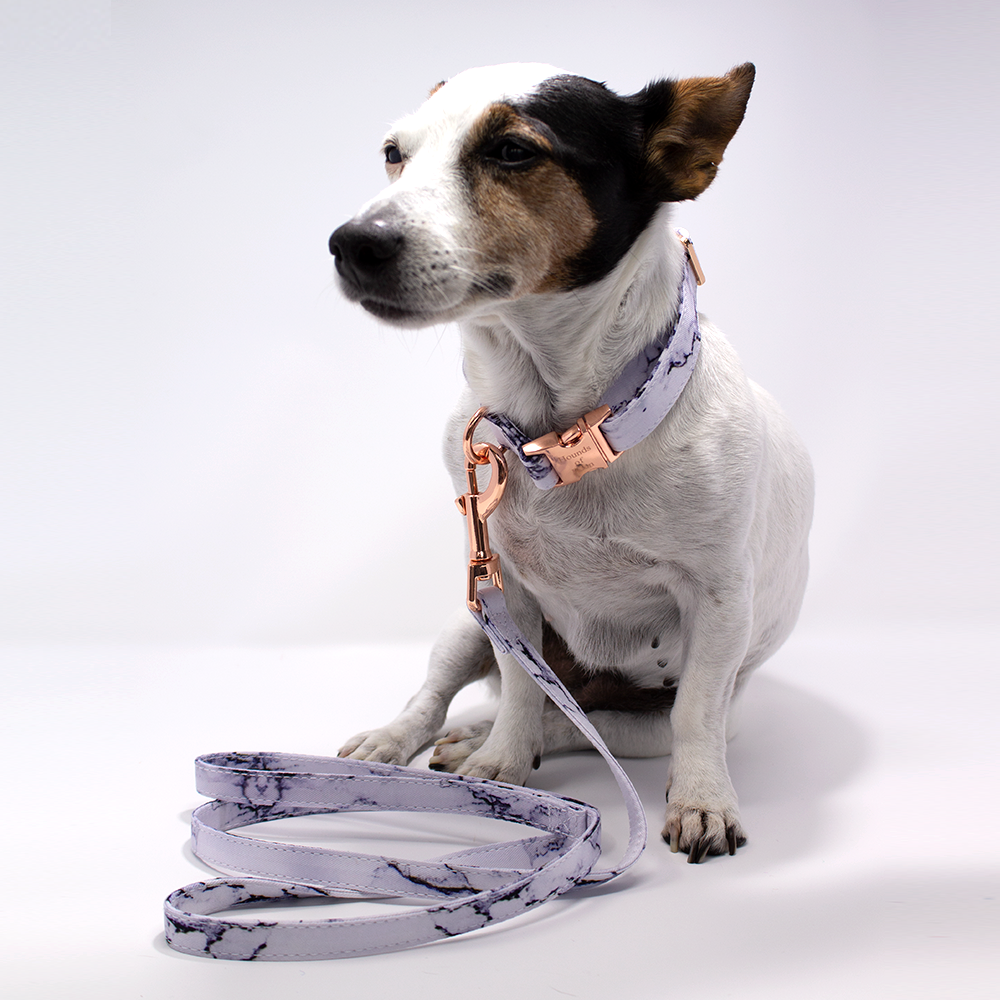 Arabella Marble Dog Lead - The Bark Market