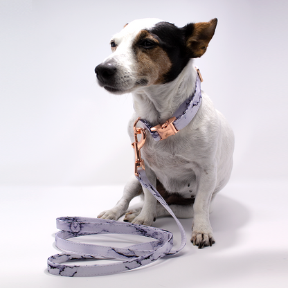 Arabella Marble Dog Lead - The Bark Market