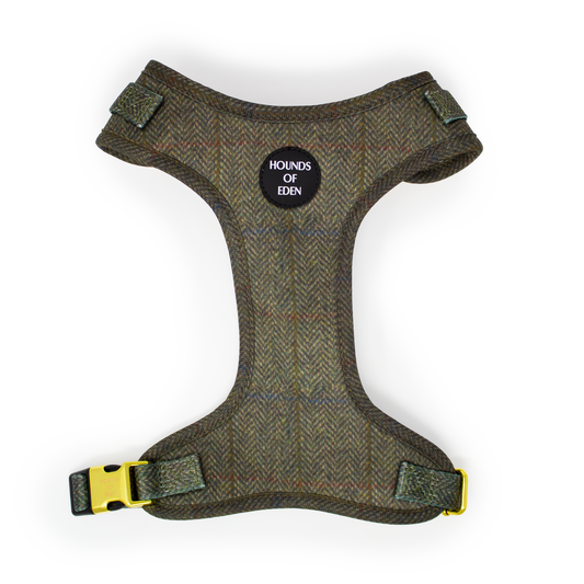 Max Tweed Effect Harness - The Bark Market