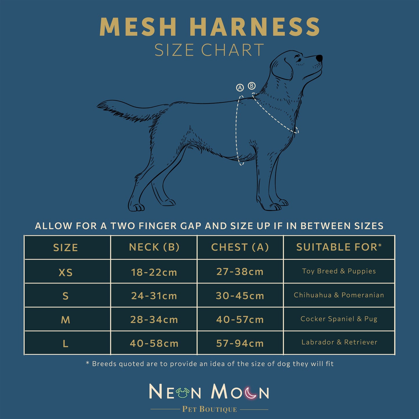 The Tod Mesh Harness - The Bark Market