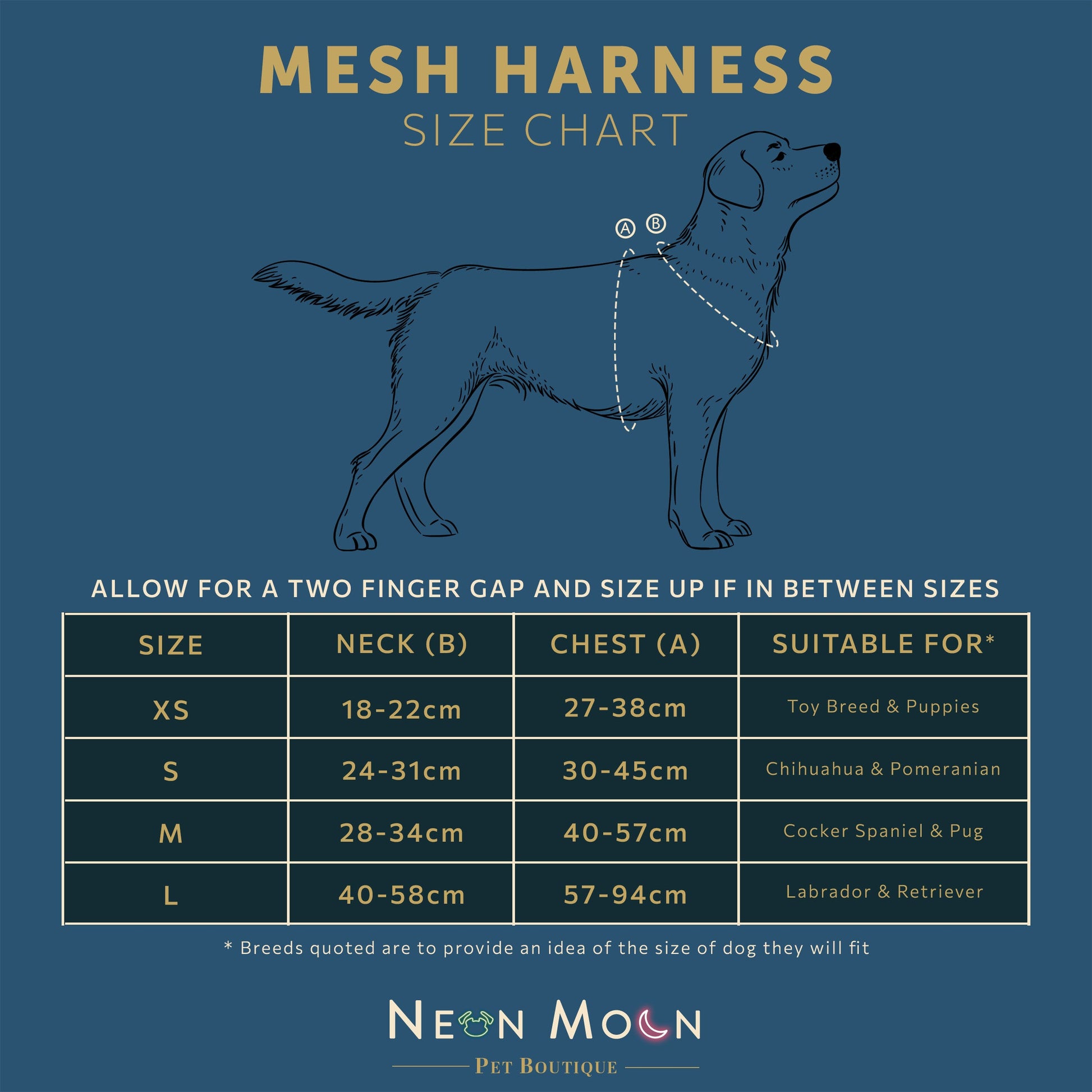 The Tod Mesh Harness - The Bark Market