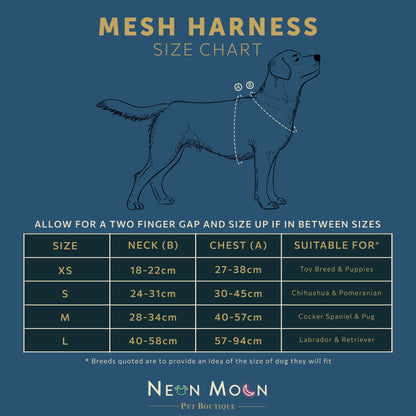 The Tod Mesh Harness - The Bark Market