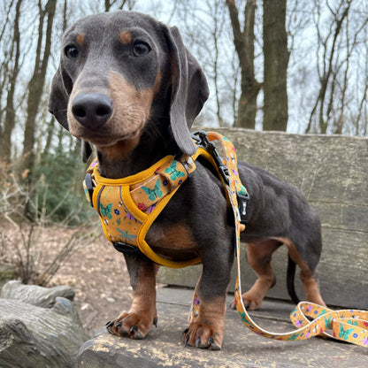 Summer Buzzin' No Pull Tactical Dog Harness – Yellow Insect Print, Adjustable, Step-In (XS-XL) - The Bark Market