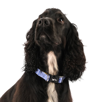 The Minnie Dog Collar - The Bark Market