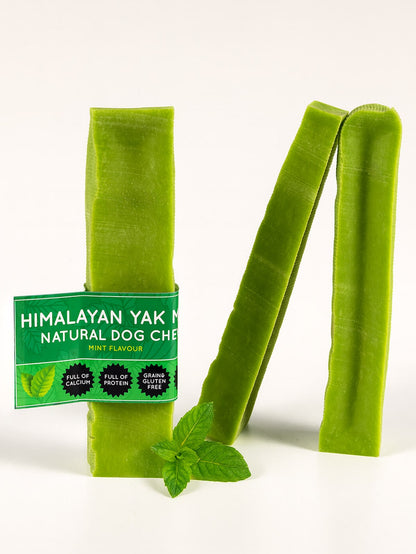 Mint Yak Dog Chew - The Bark Market