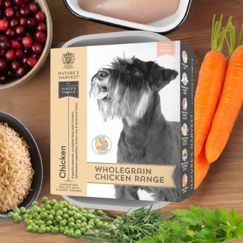 Chicken & Vegetables with Brown Rice Wet Dog Food - Adult - The Bark Market