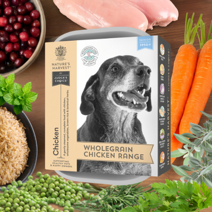 Chicken & Vegetables with Brown Rice - Senior - The Bark Market